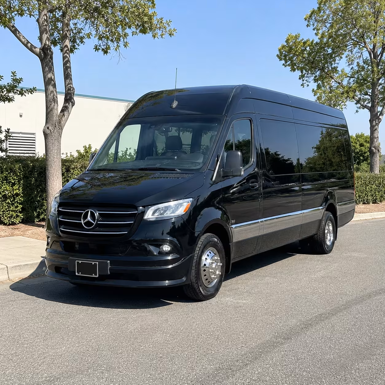 sprinter limousine